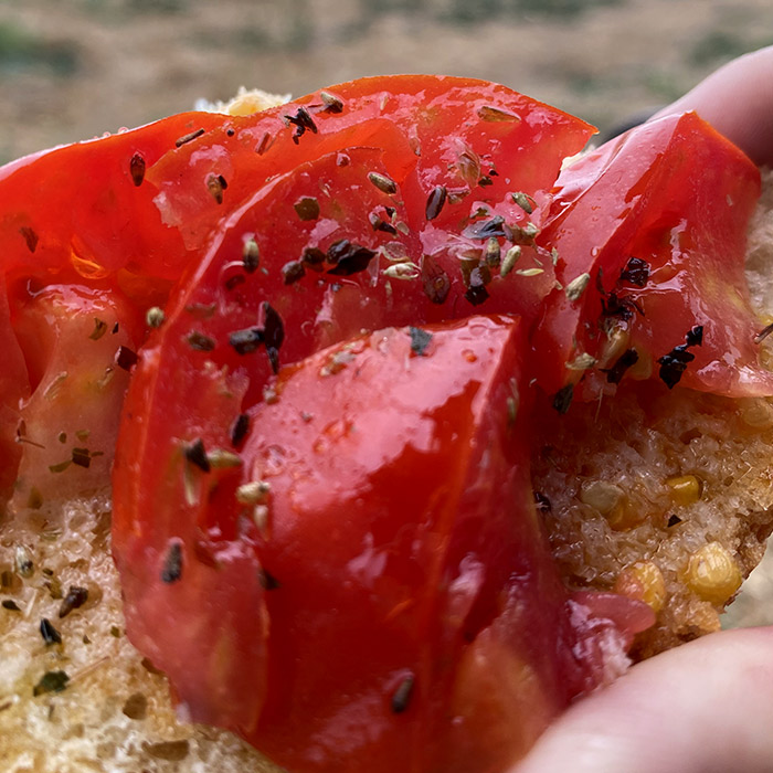 Pomodoro della Valdichiana - Agricola Valdichiana Rampi