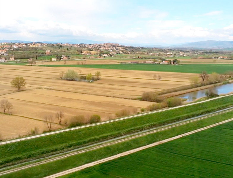 Dove siamo Agricola Valdichiana Rampi